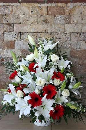 Red Arrangement Series 1