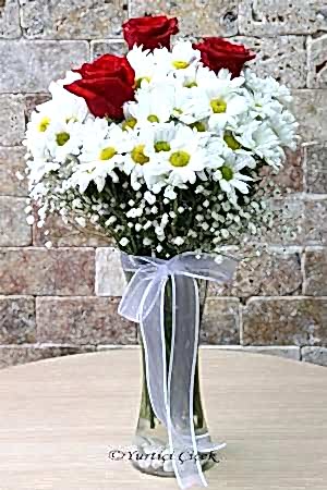 Daisy and 3 Red Roses