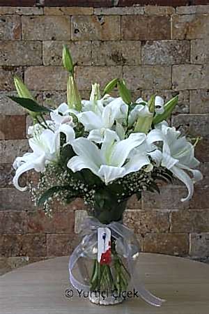 Lily in Vase Series 2