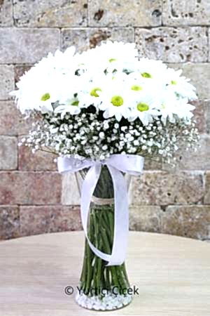 Vazoda Beyaz Papatyalar