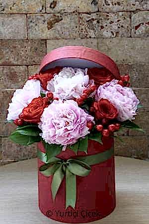Peony Series 6