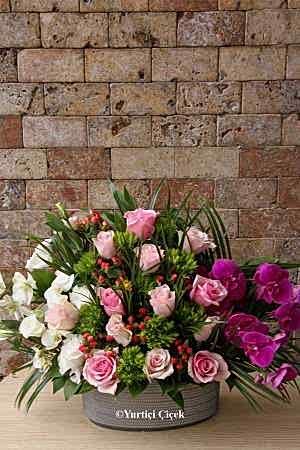 Special Design Arrangement Series 7