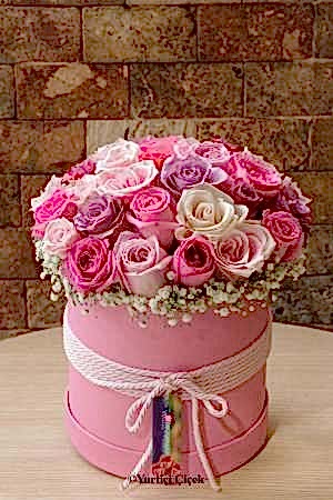 Pink Rose in a Box Series 1