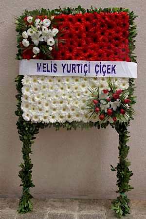 Pano Çelengi Serisi 1
