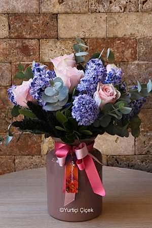 Hyacinth Series 2
