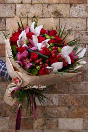 Cymbidium Series 3