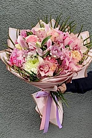 Pink Lily Series 1