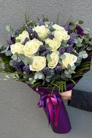 Hyacinth Series 9